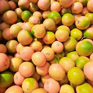 Pomelo