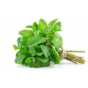 Menta
